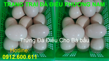 Trứng Đà Điểu cho bà bầu